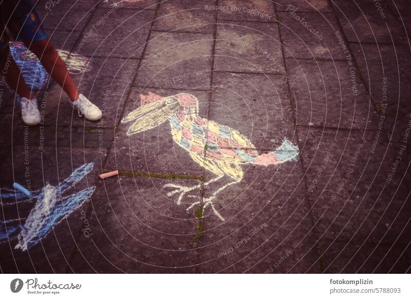 Vogelbild mit Straßenkreide auf Pflaster gemalt Straßenmalkreide vogel pflasterstein Boden Bild kreativ malerei Art kunst Graffiti Grafik u. Illustration