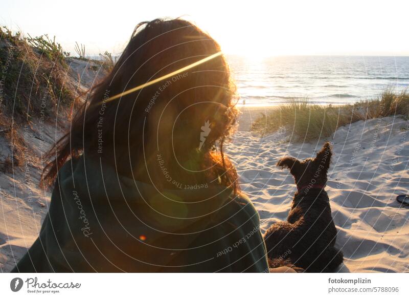 Frau und Hund schauen aufs Meer Strand blicken Sonnenuntergang Sehnsucht Ferne Freiheit Wasser Fernweh Natur Freundschaft zusammen miteinander Aussicht genießen