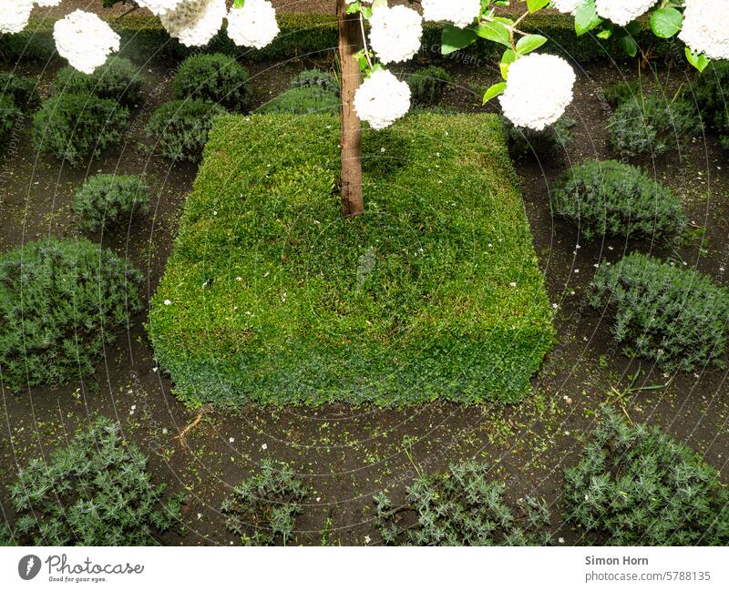 Dekorative Gestaltung eines Barockgartens Gartengestaltung geometrisch gestutzt zurechtgeschnitten eckig Naturgestaltung Strukturen & Formen Geometrie