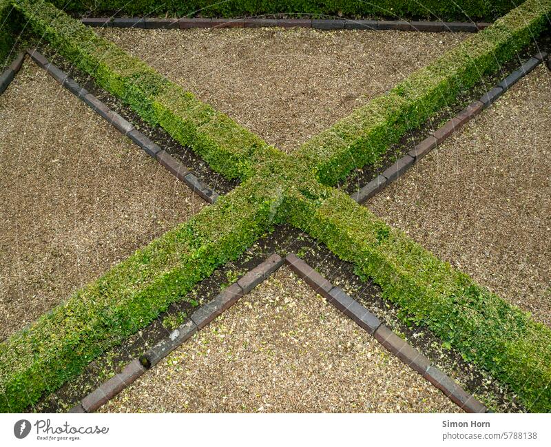 Dekorative Gestaltung eines Barockgartens Gartengestaltung geometrisch Kreuz gestutzt zurechtgeschnitten eckig Naturgestaltung Strukturen & Formen Geometrie