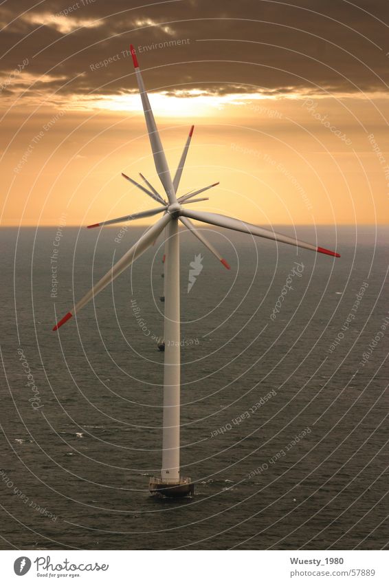 Windblume Windkraftanlage Sonnenuntergang Meer synchron Energiewirtschaft Flügel Kraft