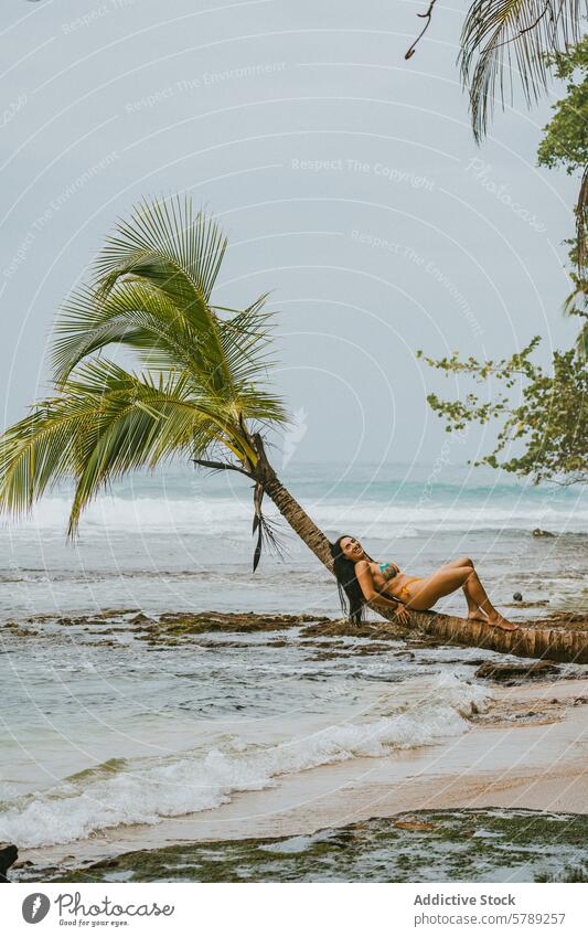 Frau entspannt sich auf einer Palme am Strand von Costa Rica Erholung tropisch Sand MEER Wasser Meer reisen Urlaub Freizeit Küste Seeküste Bikini Natur