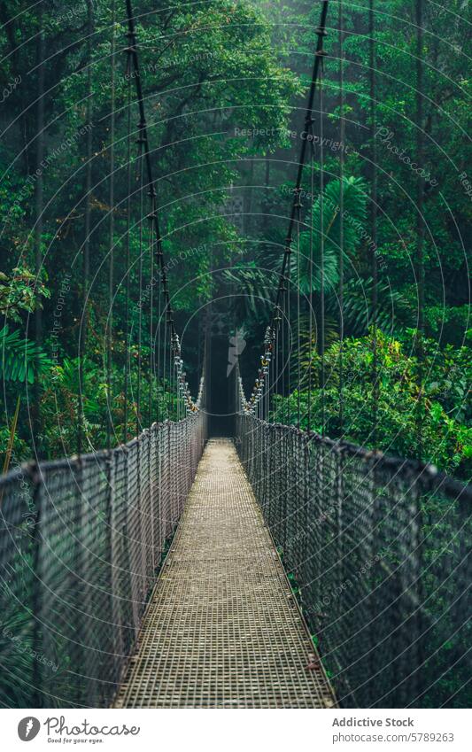 Neblige Hängebrücke im Regenwald Costa Ricas Kettenbrücke Nebel Grün üppig (Wuchs) Abenteuer Natur Gelassenheit Dschungel reisen Tourismus Weg exotisch tropisch