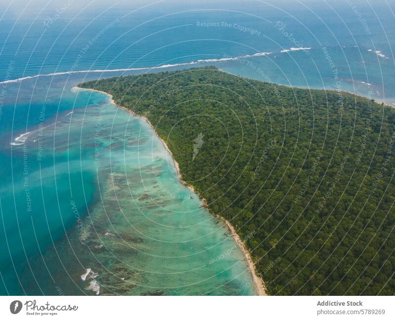 Luftaufnahme der üppigen Küstenlinie in Costa Rica Türkisfarbenes Wasser Tropenwald üppig (Wuchs) Natur Strand Meer MEER reisen Paradies ruhig Wildnis malerisch