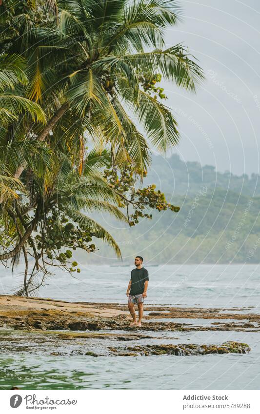 Gelassene Einsamkeit am Strand in Costa Rica Person Küstenlinie Gelassenheit Palme tropisch reisen Freizeit Windstille Natur Landschaft Ruhe Meer MEER im Freien