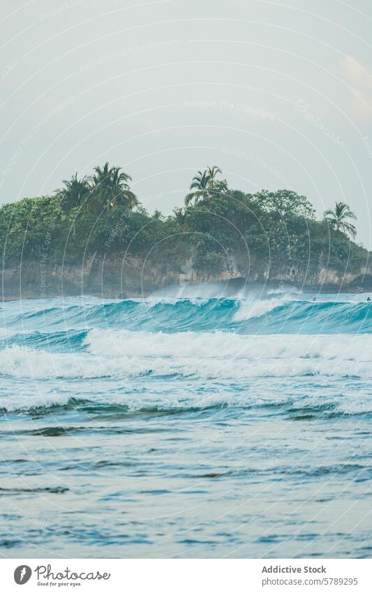 Ruhiger costaricanischer Strand mit rollenden Wellen Costa Rica winken Ruhe Gelassenheit üppig (Wuchs) Grün Handfläche Baum tropisch Küstenlinie MEER Meer