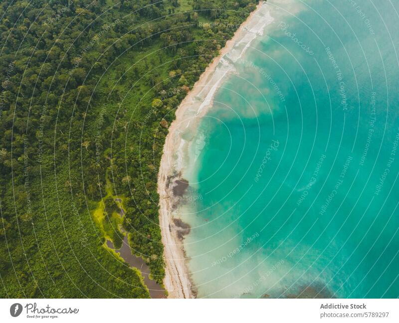Die Küste Costa Ricas aus der Vogelperspektive Luftaufnahme Küstenlinie Regenwald Pazifik natürliche Schönheit azurblaues Wasser üppiges Grün tropisch