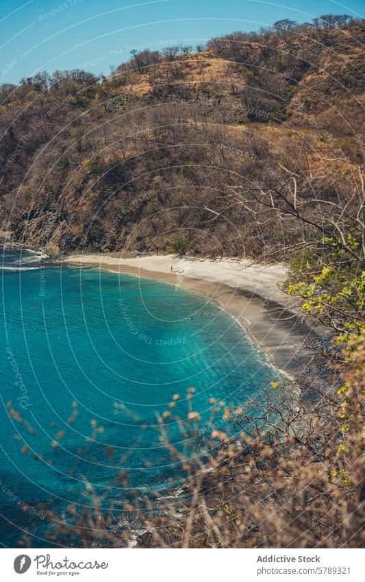 Abgelegener Strand in Costa Rica mit klarem, blauem Wasser abgelegen Gelassenheit tropisch Meer Sand übersichtlich Ufer Küstenlinie Wald trocknen Vegetation