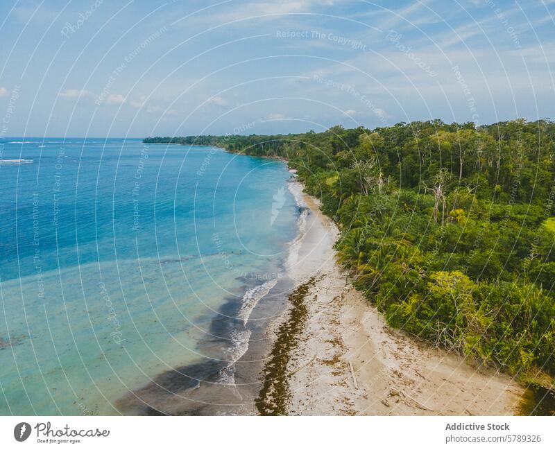 Unberührter Strand in Costa Rica mit üppiger Waldkulisse Luftaufnahme Gelassenheit Blauwasser üppig (Wuchs) Küstenlinie tropisch Ruhe Natur Landschaft reisen