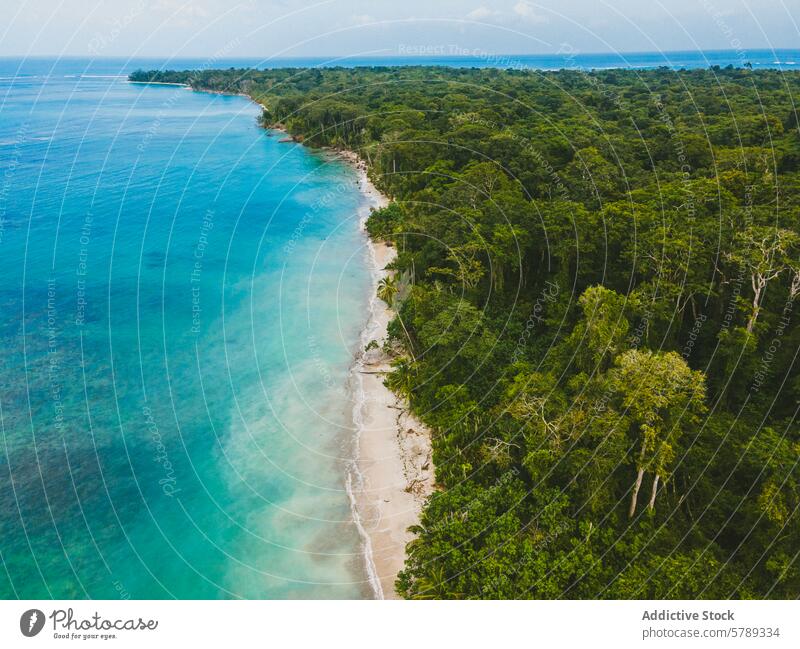 Luftaufnahme einer unberührten Küstenlinie Costa Ricas unverdorben Regenwald türkis MEER Strand ruhig üppig (Wuchs) sandig Natur tropisch Paradies reisen