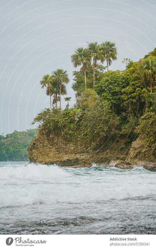 Friedliche tropische Strandlandschaft in Costa Rica Küstenlinie Palme Pazifik Landschaft üppig (Wuchs) Natur malerisch reisen Ausflugsziel Tourismus Wasser
