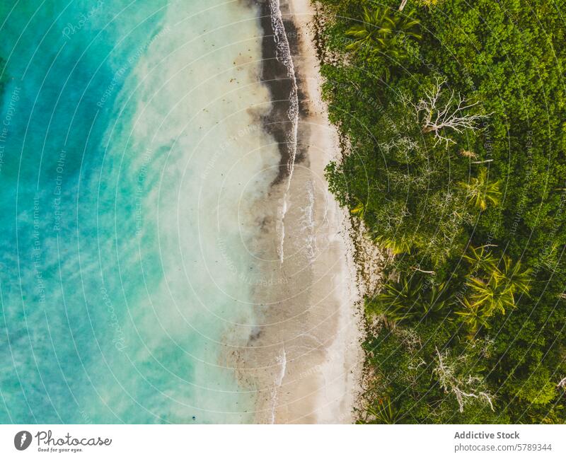 Luftaufnahme eines ruhigen Strandes in Costa Rica und eines üppigen Waldes Antenne Ansicht tropisch üppig (Wuchs) grün Gelassenheit exotisch Schönheit