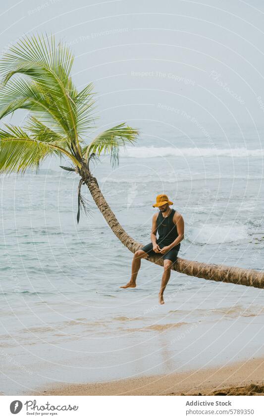 Gelassene Strandszene mit Person auf Palme in Costa Rica Meer ruhig Freizeit reisen Urlaub tropisch Küste MEER schemenhaft Tag lässig anhaben Sitzen Ufer Sand
