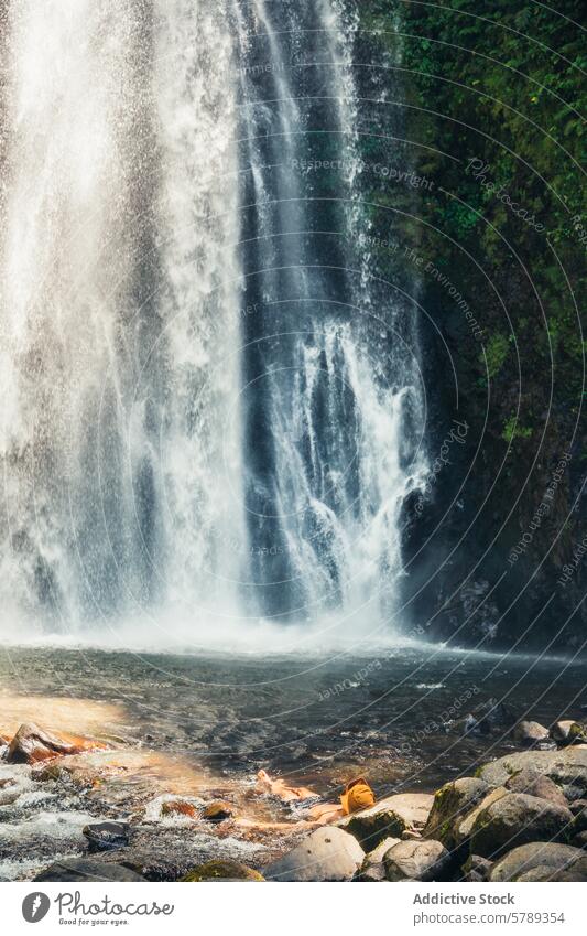 Ruhiger Wasserfall in üppiger costaricanischer Landschaft Costa Rica Natur Dschungel Wald grün Laubwerk Kaskade fließen Gelassenheit ruhig übersichtlich