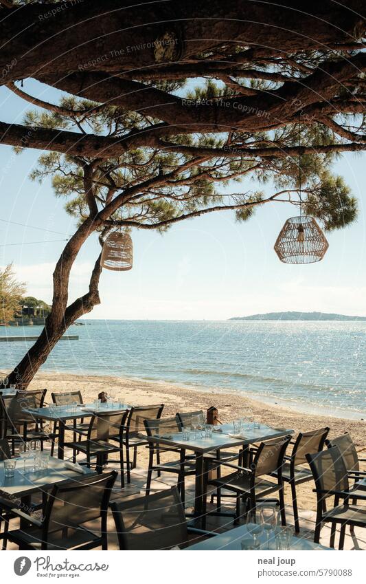 Blick aus einem Beach Club unter Pinien auf das Meer Urlaub Küste Strand Restaurant schattig Sonne Sommer Horizont Ferien & Urlaub & Reisen Schönes Wetter