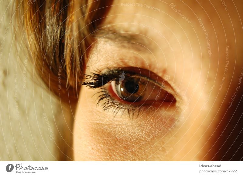 Eye-Catcher° Frau Junge Frau braunes Auge Eyecatcher Blick Gesicht face Klarheit Detailaufnahme steffi eye