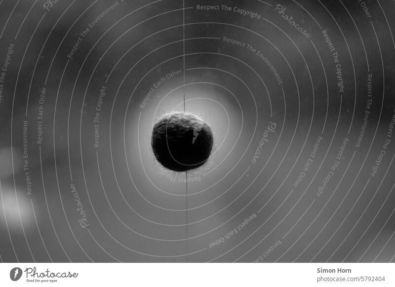 Filzdunkel hängt wie ein Modell eines Planeten vor unscharfem Hintergrund in der Luft Kugel Ball kreisförmig unscharfer Hintergrund Dekoration Schwarzweißfoto