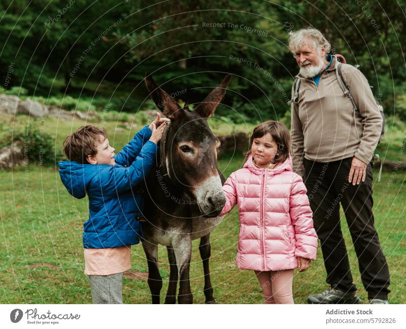 Großeltern und Enkelkinder genießen die Zeit mit einem Esel im Freien Familie Freizeit Junge Mädchen Interaktion Natur Bonden Tier Großvater Enkelin