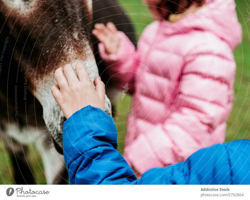 Kinder genießen einen Tag auf dem Bauernhof mit Esel Familie Freizeit Großeltern Enkel Junge Mädchen Streicheln Bonden im Freien Aktivität Kindheit Erholung