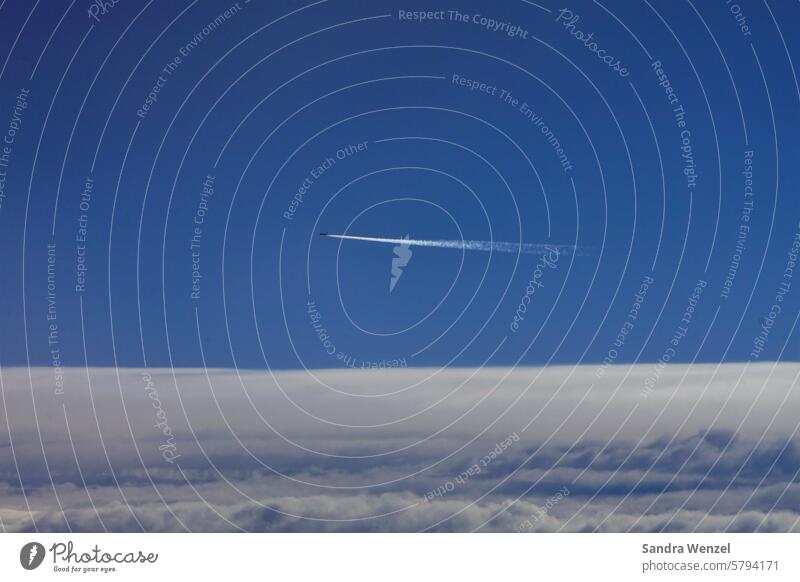 Flugzeug über den Wolken Kondensstreifen Himmel blauerhimmel fliegen reisen Reise Flugreise Verkehrsmittel schnellreisen