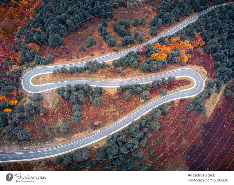 Kurvenreiche Straße durch den Herbstwald in den Pyrenäen Antenne Ansicht kurvenreich Wald Navarra Spanien fallen Farben Bäume Serpentine Autobahn Landschaft