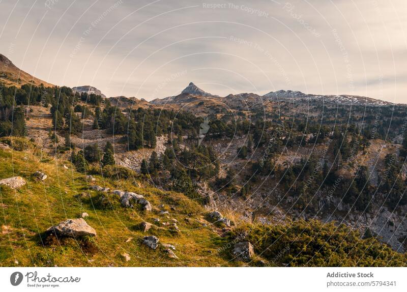 Herbstliche Gelassenheit in den Pyrenäen mit dem Pic de Anie Bild von Anie aunamendi Landschaft Berge u. Gebirge Gipfel Herbstfarben Rontal Navarra