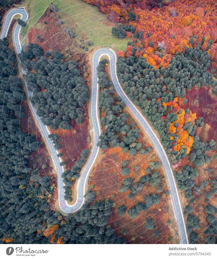 Kurvenreiche Straße durch die Herbstfarben der Pyrenäen Antenne Ansicht geschlängelt Laubwerk Navarra Rontal puerto larra-belagua Landschaft Natur reisen
