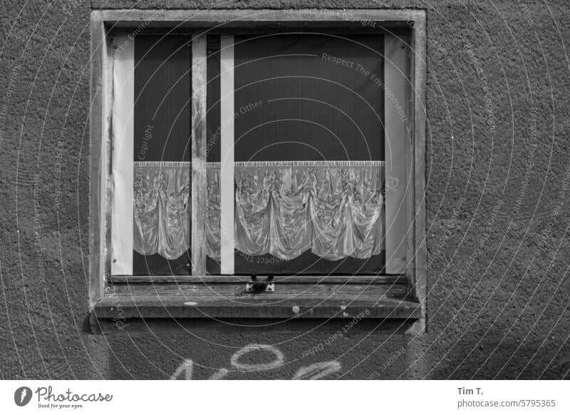 Ein Fenster mit einem Gardinendruck Eisenhüttenstadt s/w s/w fotografie Schwarzweißfoto b/w b&w Tag Menschenleer Außenaufnahme ruhig Architektur Einsamkeit