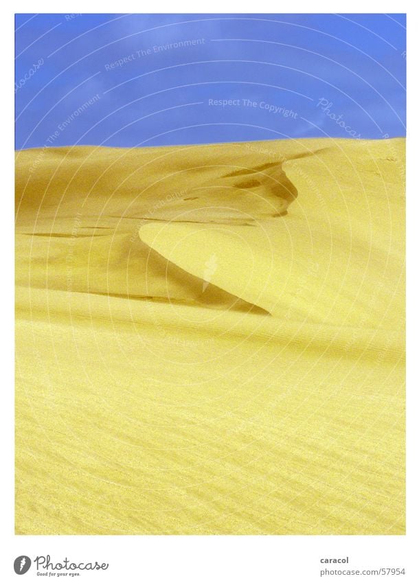 sand sculpture Himmel gelb Neuseeland Sand landscape sky Wüste desert blue Düne