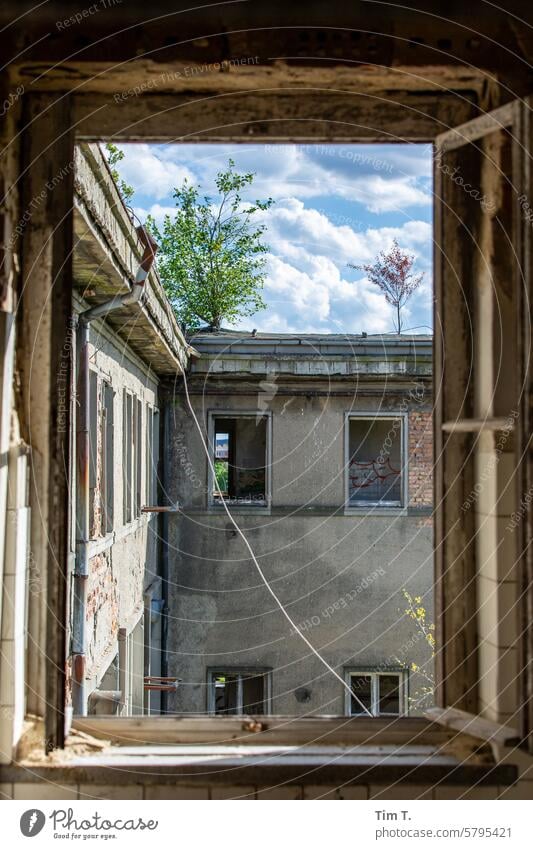 Blick aus einem Fenster einer Ruine ausblick Brandenburg Eisenhüttenstadt lost places alt Vergänglichkeit Wandel & Veränderung verfallen Verfall verlassen