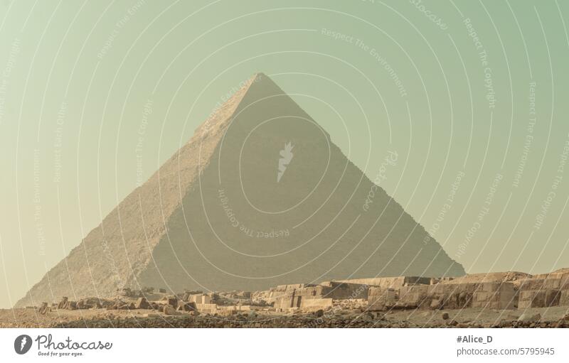 Pyramiden von Gizeh Reisehintergründe Afrika Afrikanisch antik altägyptische Kultur Archäologie Architektur Anziehungskraft Hintergrund beduin Kamele