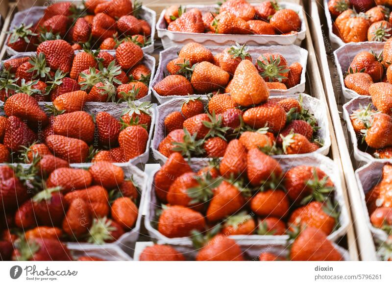 Markttag - Strawberry Fields Forever Marktstand frisch Lebensmittel Gesundheit Bioprodukte Vegetarische Ernährung Gesunde Ernährung Vegane Ernährung gesund