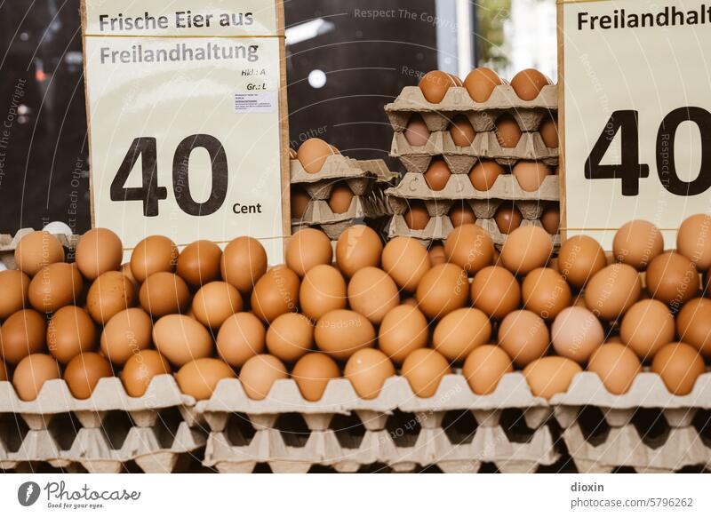 Markttag - freilaufende Eier Marktstand frisch Lebensmittel Bioprodukte Vegetarische Ernährung gesund Foodfotografie Diät Vitamine Ernte vegetarisch lecker