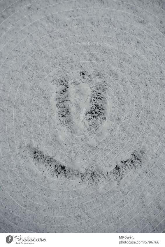 Schnee Smiley Winter kalt Frost Außenaufnahme Schneedecke Menschenleer weiß Schneelandschaft Winterstimmung Smiley-Gesicht Wintertag Smileys Schneefall
