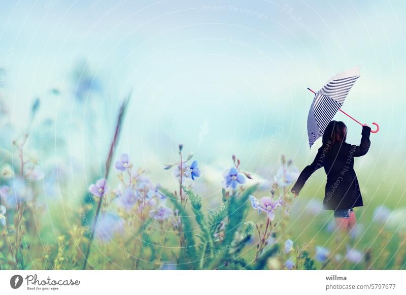 Ich laufe gern im Regen durch die Stadt Blumenwiese Frau Regenschirm Wiesenblumen Schirm Wildblumen Mensch weiblich Person Spaziergang spazieren Natur