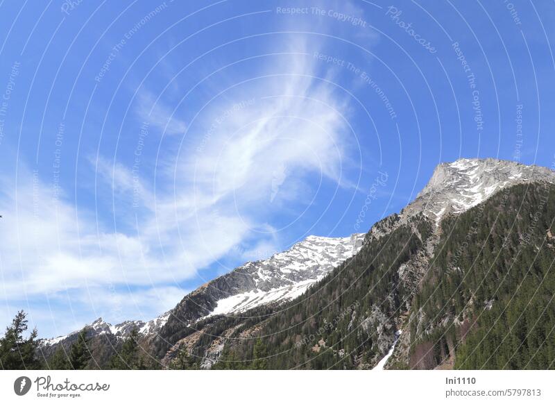 Federwolken über den Bergen am Antholzer See Natur Landschaft Südtirol Gebirge Schneebedeckte Gipfel Baumgrenze blauer Himmel Wolken Struktur bizarr Cirrus