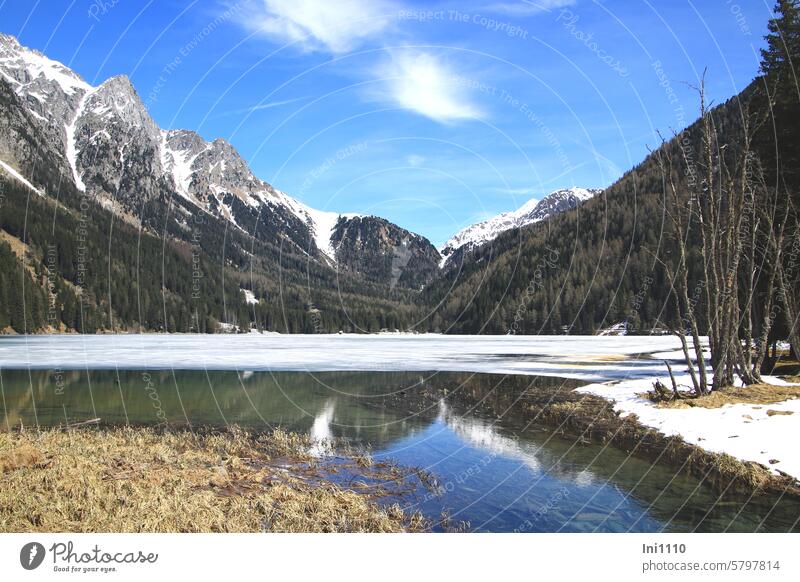 Antholzer See noch halb zugefroren Frühling Natur Landschaft Tal Antholzer Tal Gebirgssee Südtirol Gebirge Berge Berge u. Gebirge Schneebedeckte Gipfel