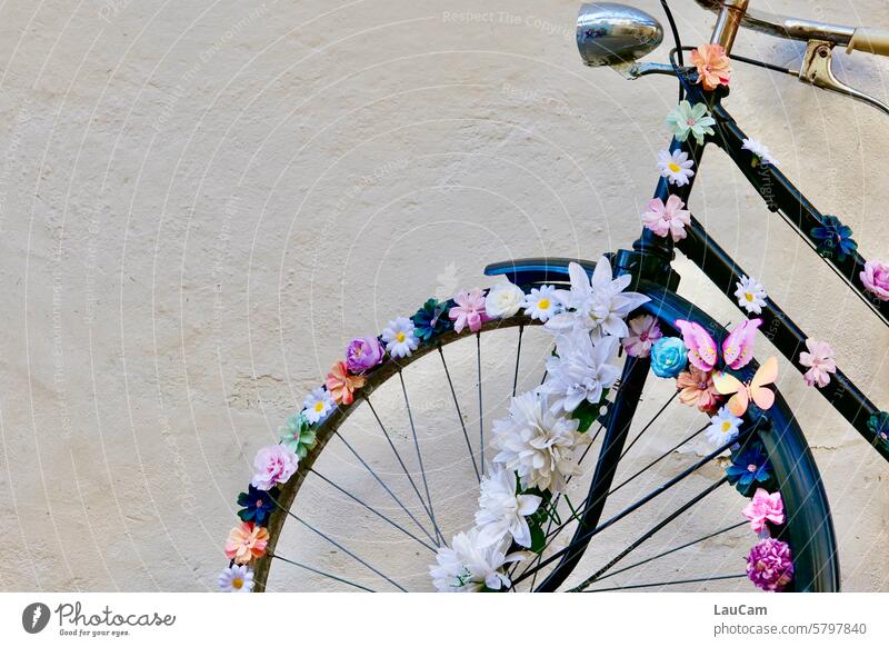 Fahrradliebe Rad Radfahren Fahrradfahren Blumen Dekoration Schmuck Blüten blühend Speichen Fahrradreifen Fahrradlicht Wand Hauswand Mobilität Verkehrsmittel