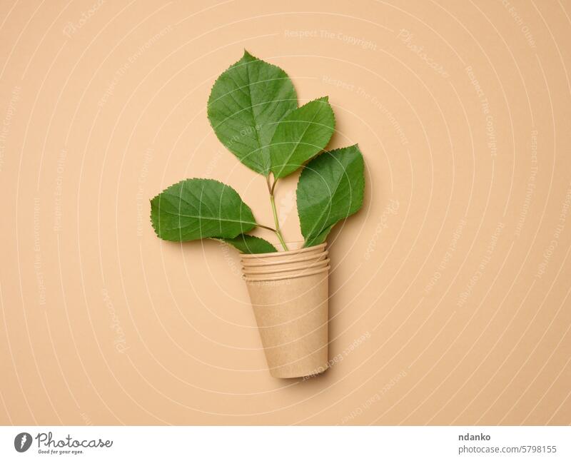 Stapel von braunem Papier Einweg-Pappbecher auf beige Hintergrund und grüne Blätter Blatt wiederverwerten Einwegartikel Tasse trinken leer heiß Kraft Becher