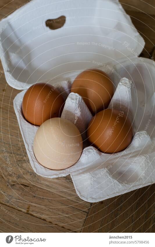 Ein weißer Eierkarton mit drei braunen und einem hellen Ei Hühner Natur Selbstversorger Garten glücklich Glück sammeln Essen gesund Lebensmittel natürlich
