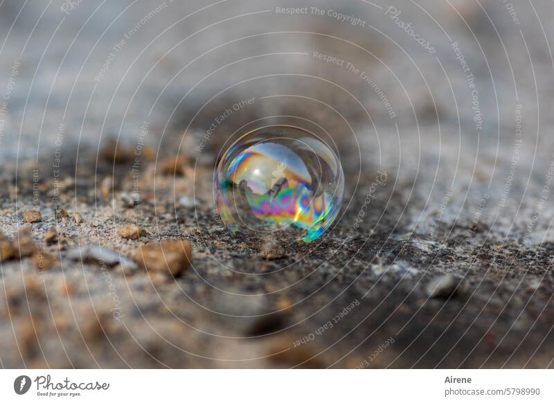 festgehaltener Augenblick | karlsruhelos Boden Luftblase durchsichtig Hintergrund neutral Kugel farbig farbenfroh Reflexion & Spiegelung zart vergänglich