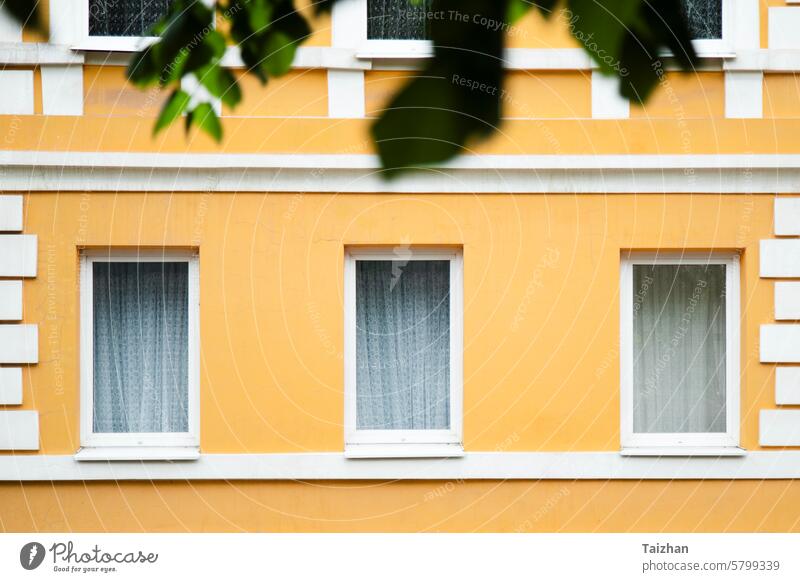 Dekorierte gelbe Wand mit Fenstern in weißen Rahmen abstrakt gealtert architektonisch Architektur Hintergrund Gebäude klassisch Klassik zugeklappt Beton