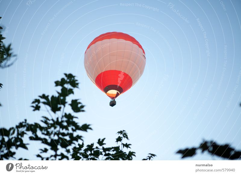 abgehoben Lifestyle Erholung Freizeit & Hobby Sommer Natur Himmel Wolkenloser Himmel Luftverkehr Fluggerät Ballone Gondel Korb entdecken fliegen fantastisch