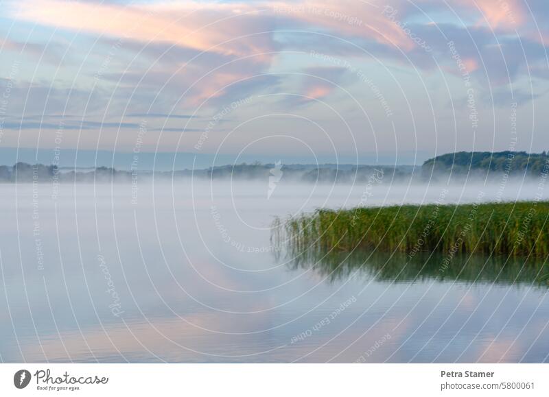 Nebel über dem See Wasser ruhig Morgen Natur Himmel Umwelt Idylle Landschaft Seeufer Außenaufnahme Farbfoto Erholung Wolken Menschenleer Wasseroberfläche