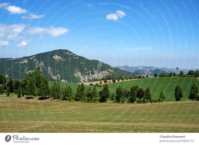 Berglandschaft entlang des Cisa-Passes, Italien, bei Berceto August Emilia Romagna Europa Parma Farbe Tag grün Landschaft Berge u. Gebirge Natur Fotografie