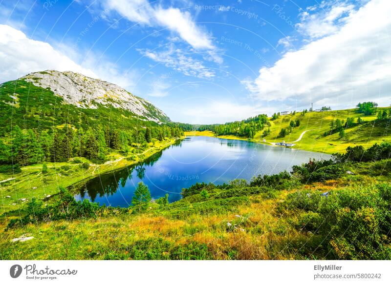 Landschaft am Großsee auf der Tauplitzalm. Natur in der Steiermark. Bergsee Grosssee Österreich Berge Berge u. Gebirge Bundesland Steiermark See Idylle Ruhe