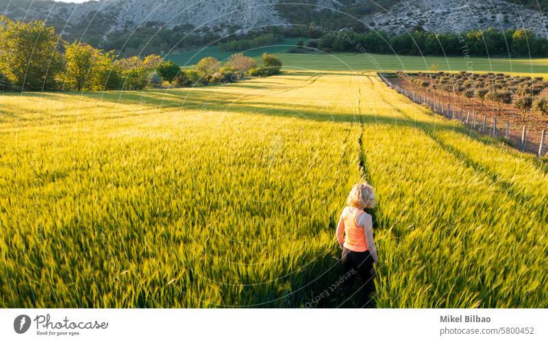 Junge kaukasische reife Frau auf dem Rücken in einem Gerstenfeld bei Sonnenuntergang.  Ayegui, Navarra, Spanien, Europa. Lifestyle-Konzept. Menschen Feld Natur