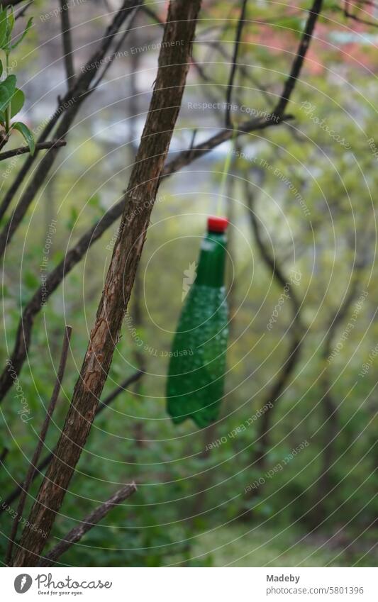 Grüne Glasflasche mit rotem Verschluss in schönem Design aufgehängt an einem Baum im Letna Park an der Moldau in Prag in Tschechien Kommunismus sozialismus