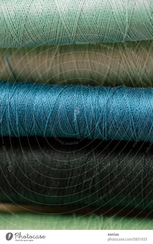 Polyestergarn in verschiedenen grünen Farben Garn nähen Textil Hobby Handwerk Material Handarbeit Makro Nahaufnahme Grüntöne hellgrün dunkelgrün gewickelt