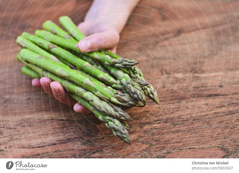 ein Bund grüner Spargel grüner spargel Gemüse Lebensmittel Spargelzeit Spargelstangen Ernährung Hand Foodfotografie Spargelsaison Gemüsespargel Grünspargel